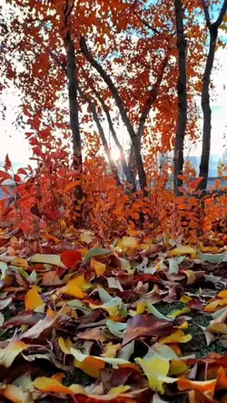 autumn