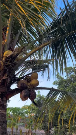 Gunslinger cinematik