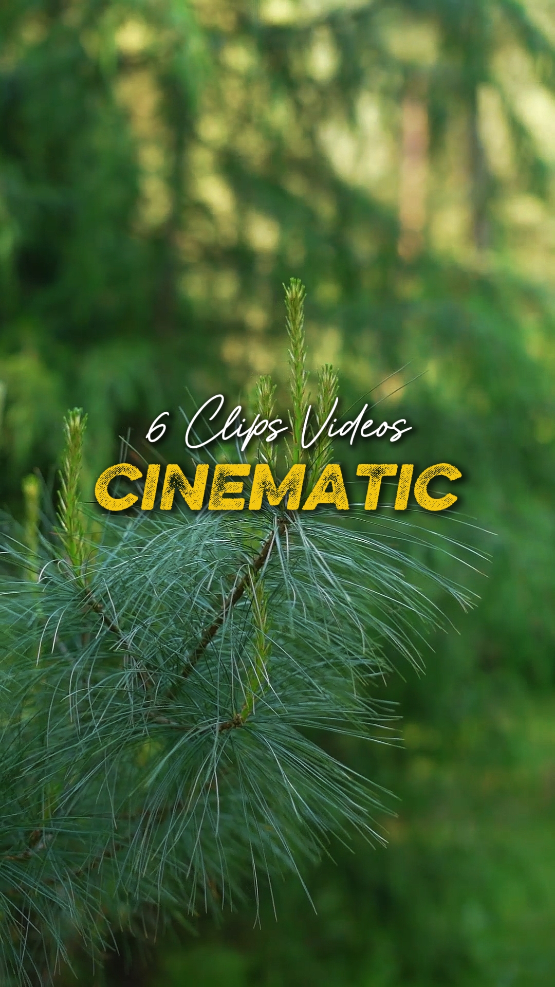 Cinematic 6 Videos