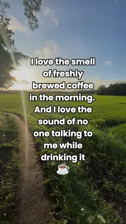 Morning Brew