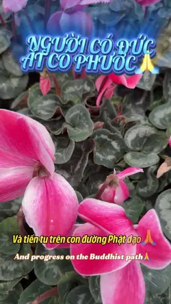 Có Đức Có Phước🙏