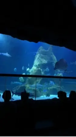 aquarium vlog 
