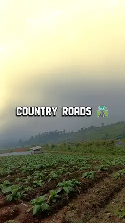 COUNTRY ROADS