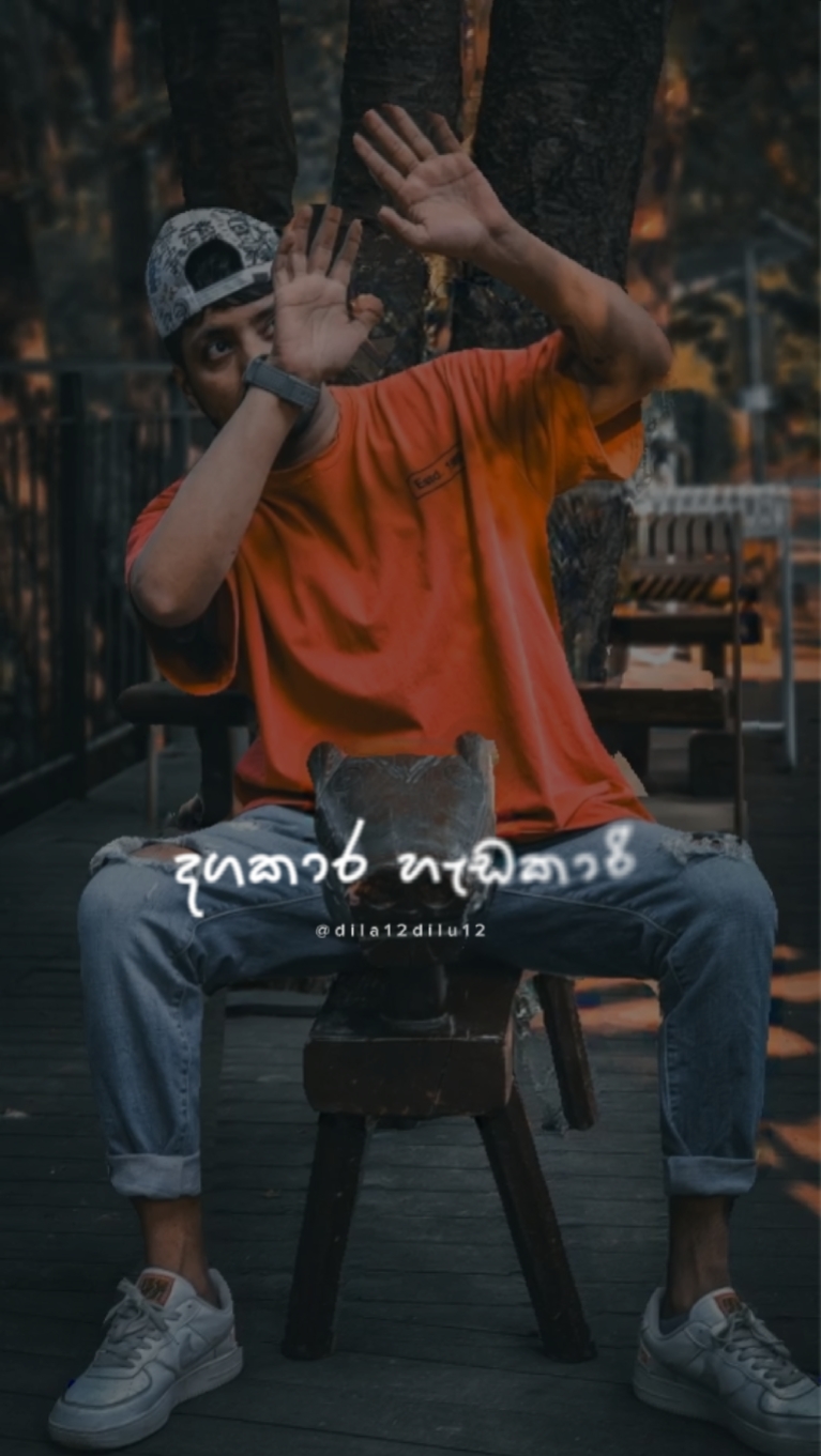 දග කාර හැඩකාර 