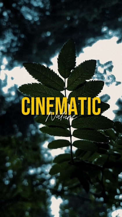 NATURALEZA CINEMÁTICA