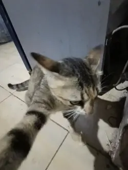 ngumpulin uang dikit