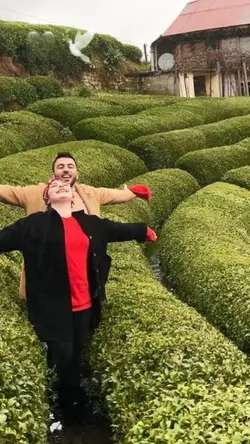 viral şablon