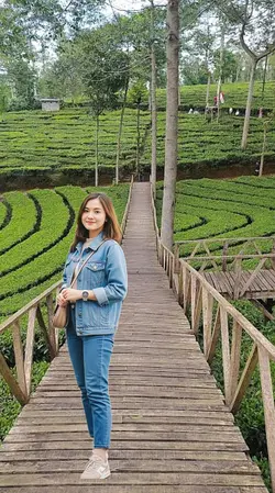kebun teh asri