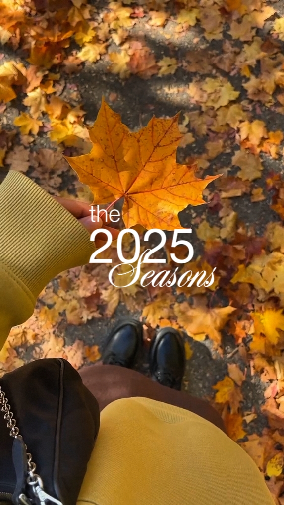2025 llega a su fin
