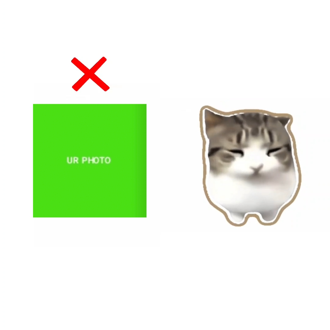 Biz Cupcat mastar