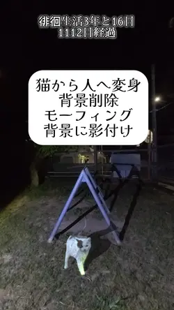 猫から人へ変身(背景動画に影付け)