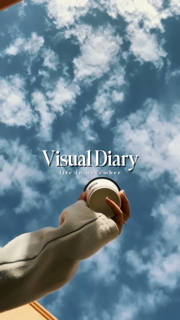 visual diary
