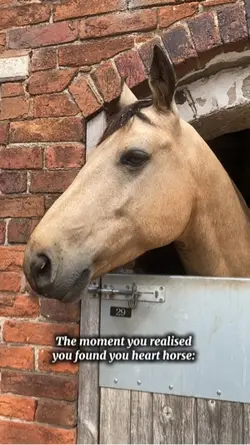 Silly lil guy