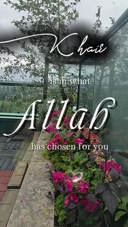 Allah's Plan