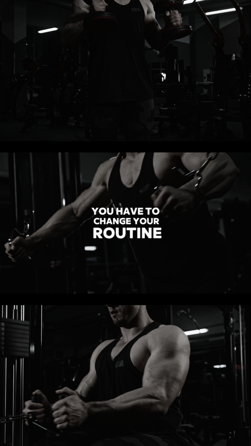 FITNESS 