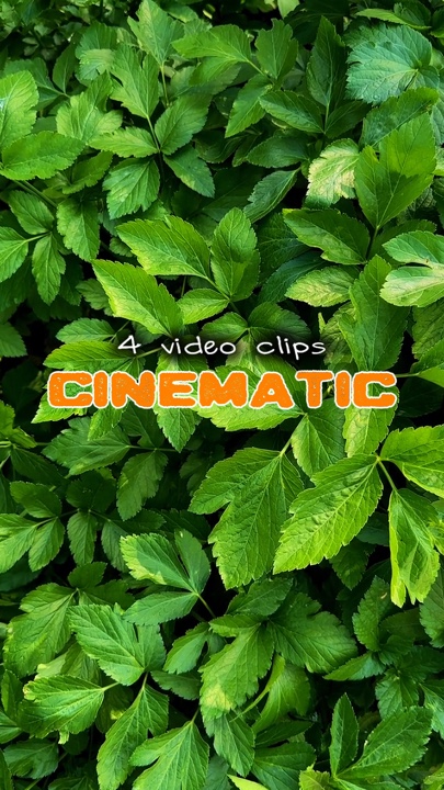 Cinématique 4 clips |