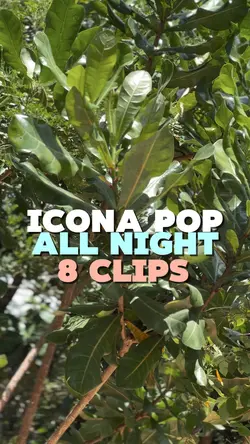 Icona Pop~AllNight
