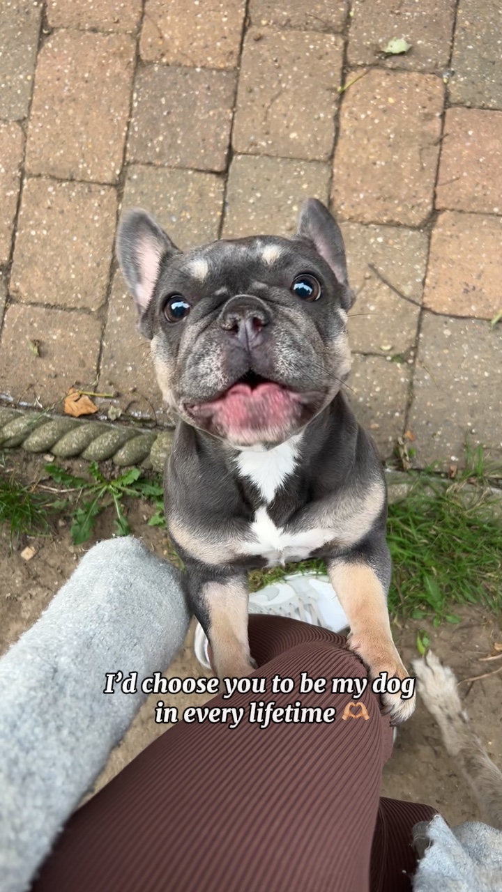 Para sempre sempre 🐾💖