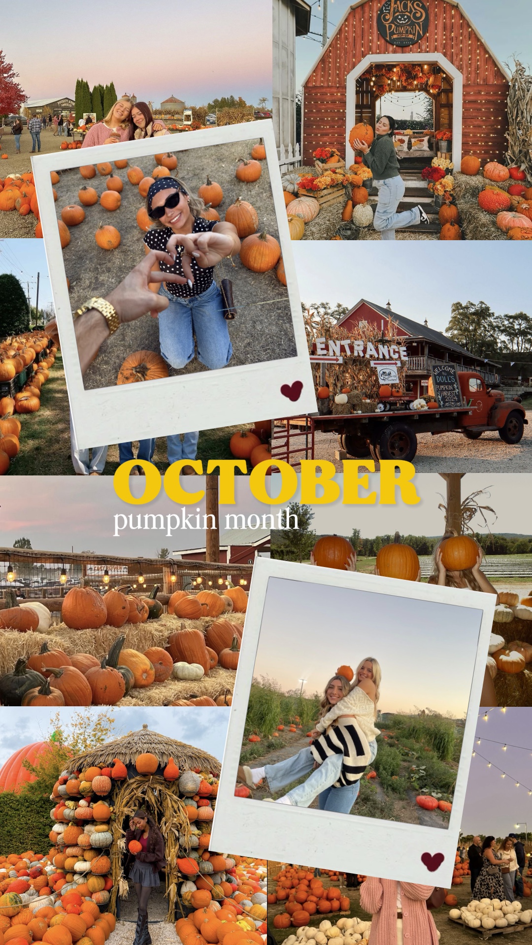 Vlog de citrouille d'octobre