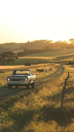 NATURE & COUNTRY 
