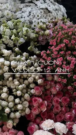 Beat cuốn