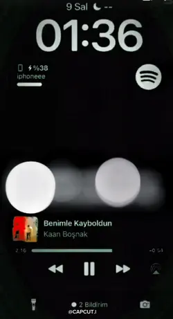 şablon 