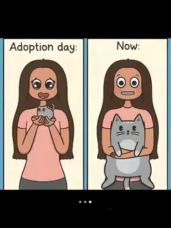 Adoption day vs Now 