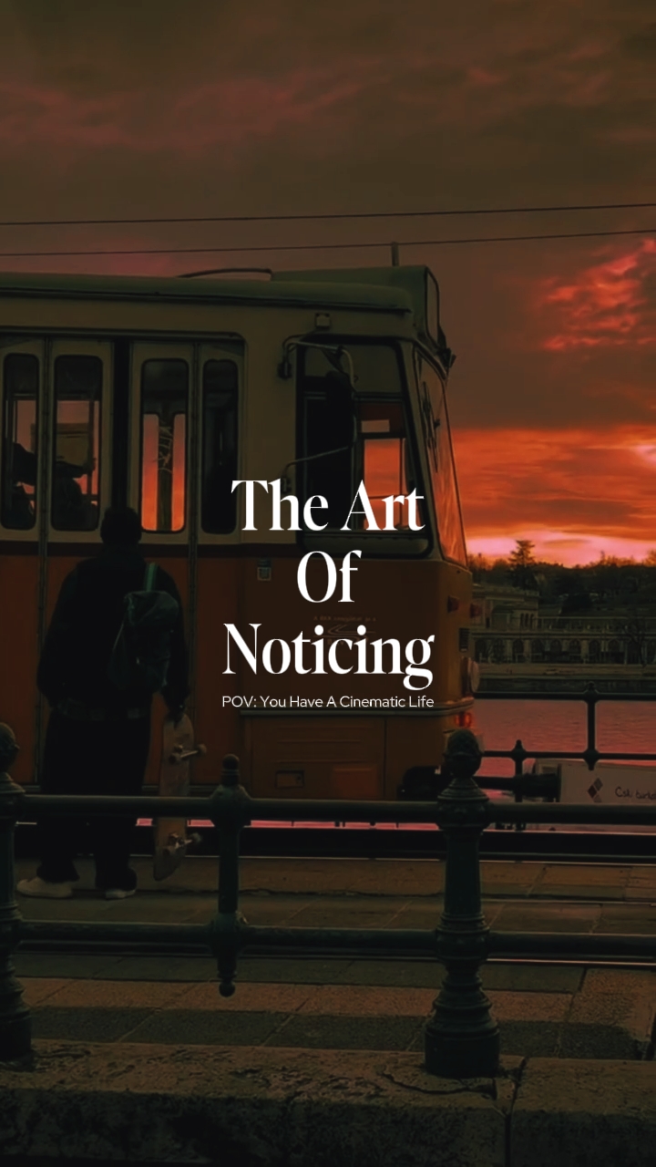 cinematic life 