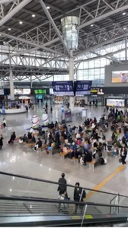 부산에 와서