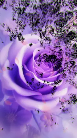 リラクゼーション パープルローズ