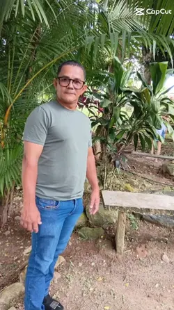 Efeito UFC 