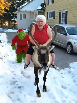 Grinch chase