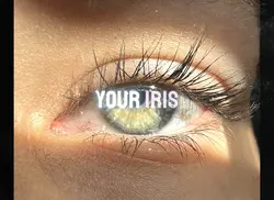 Lost in your Iris