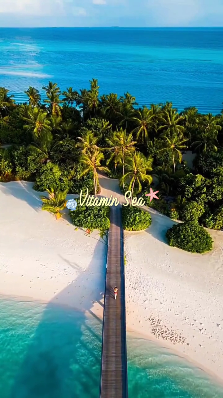 vitamin sea