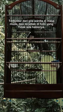 bahan sw