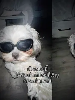 ผมจะล่าเกรด4✅