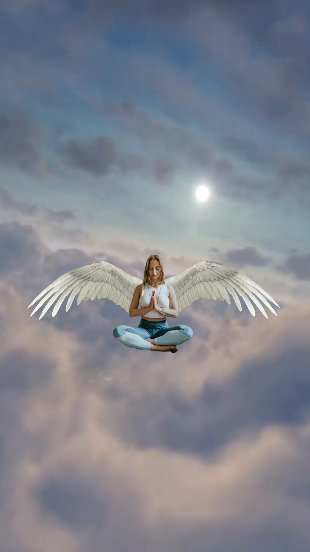 Anjo Voador