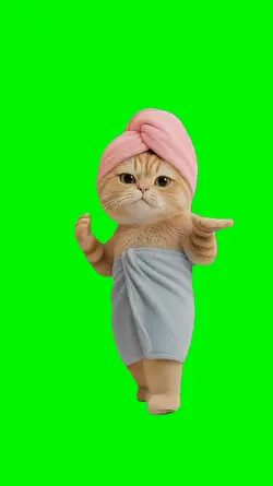 Cat PERREO SALVAJE