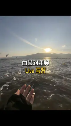 白菜對我笑