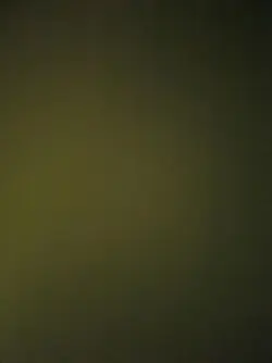 저, 축하해 주세요!