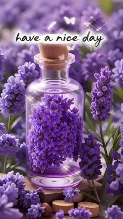 have a nice day 4รูป