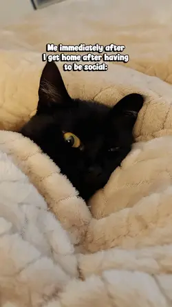 Introvert life...