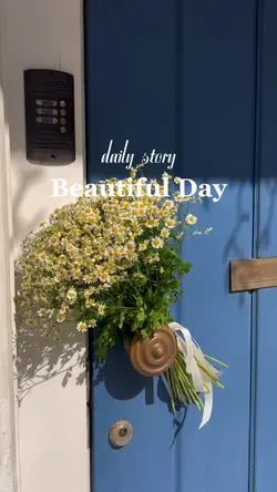 Daily Story