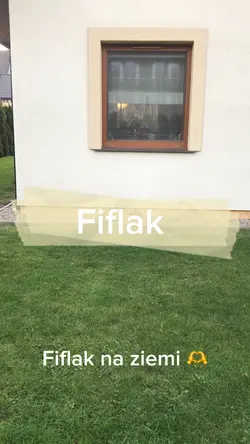 Fiflak❤️