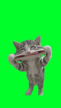 Emoting cat