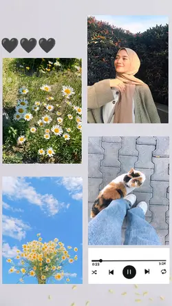 FRAME AESTHETIC