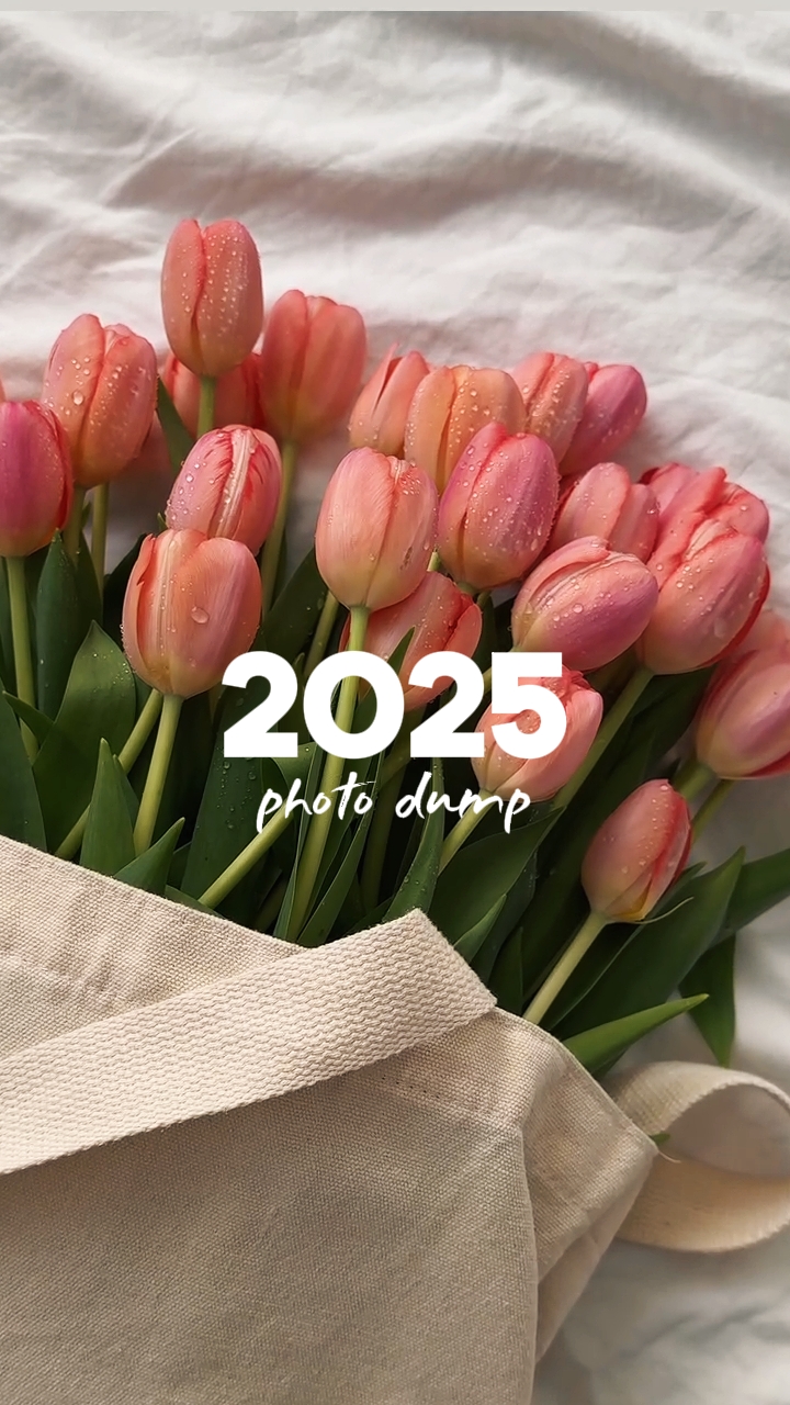 2025 Fotoğraf Dökümü