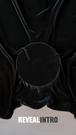 Reveal Intro 