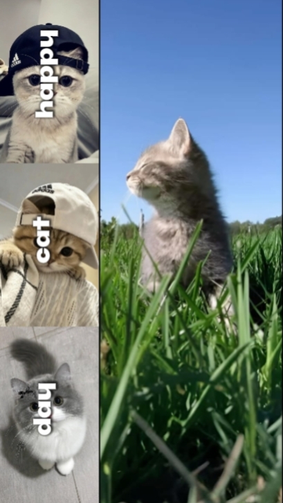 cute animal day