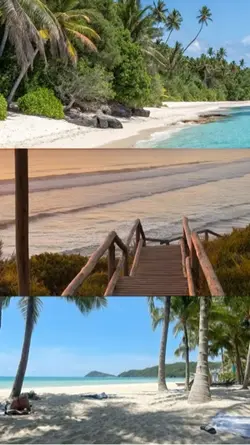 one video two photo